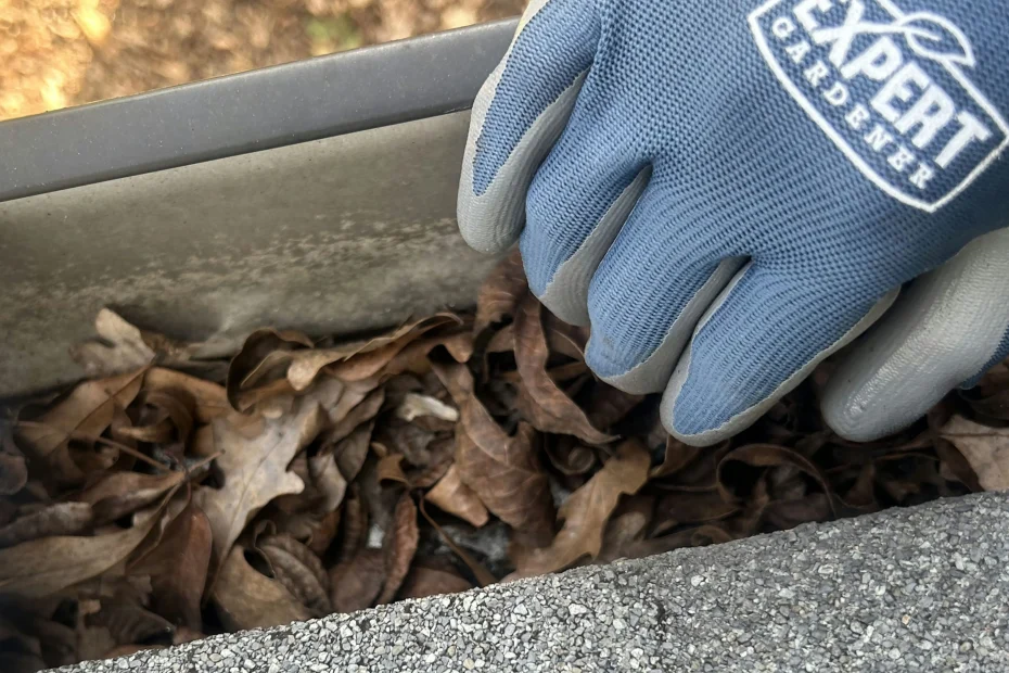 Gutter Cleaning Bethel Park