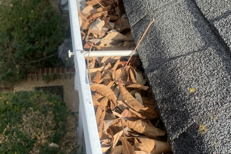 Gutter Cleaning Bethel Park